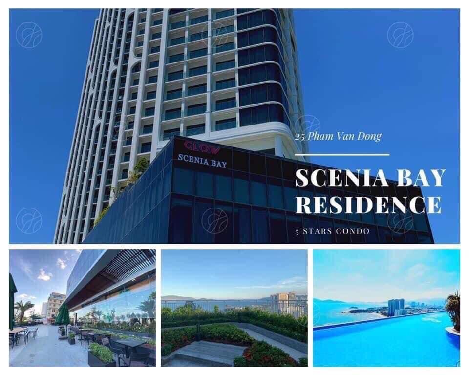 Bán căn hộ Scenia Bay | 1 phòng ngủ cộng | 2 tỷ 550 triệu