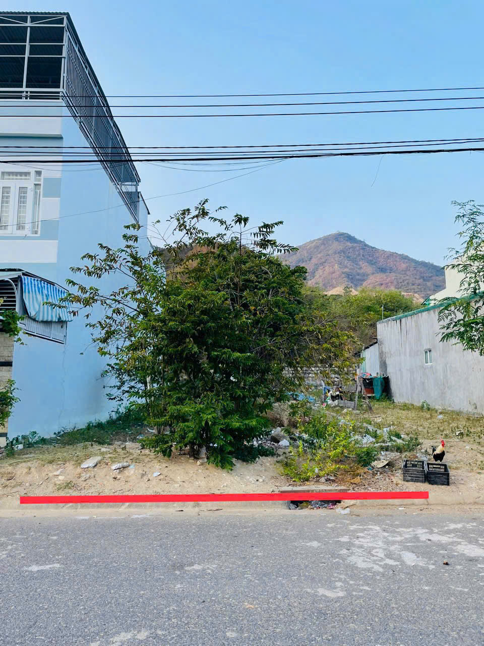 Bán Lô Đất Cặp Triệu Quang Phục Vĩnh Hòa Nha Trang – View Biển, Giá Chỉ 9 Tỷ