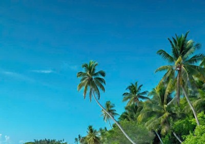 House for Rent - Only 400m from the Beautiful Beach!