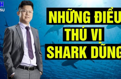 Shark Dũng là ai? Xem tiểu sử Shark Nguyễn Mạnh Dũng chi tiết